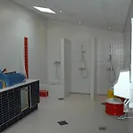 캠프장 Vikaer &